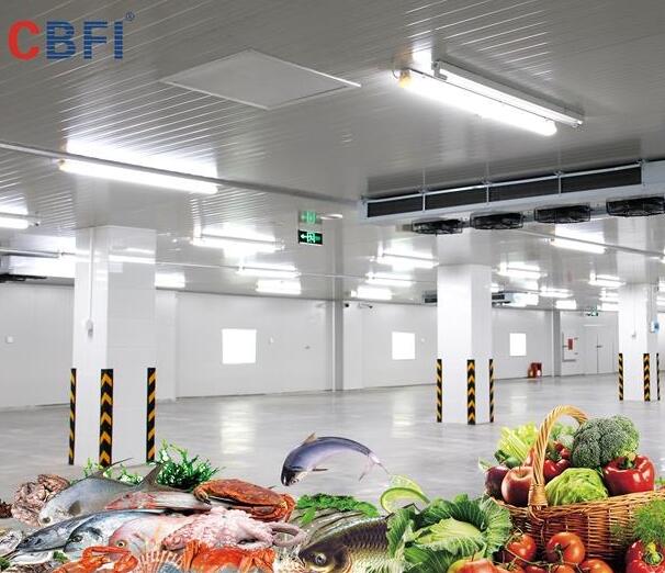 vegetable cold storage room