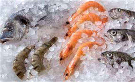 Fishing Ice Machines Enhancing Seafood Industry