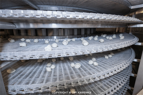 Case Study: 1 Ton per Hour Quick-Frozen Dumpling Production Line in Orsk, Russia