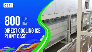 800 Tons/Day Direct Cooling Block Ice Machine | CBFI |Industrial Ice Plant