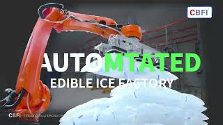 Smart Palletizing Robot for Ice Plants | Faster, Safer & More Efficient Ice Bag Stacking