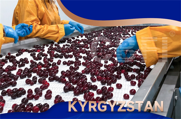 CBFI Attends Xinjiang Cold Chain Expo, Exploring New Cold Chain Opportunities Under the Belt and Road Initiative