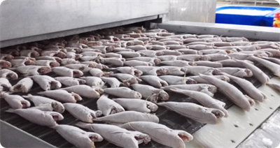 Understanding IQF Technology for the Food Industry